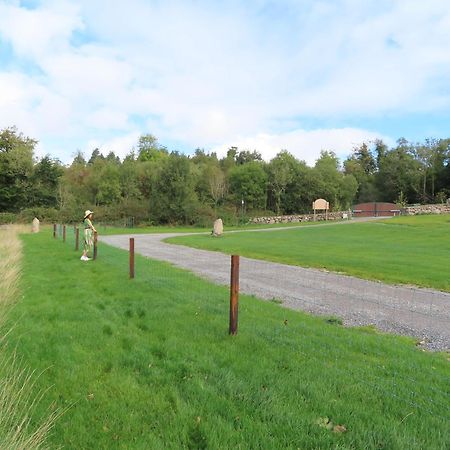 Comeragh Pods Kilmacthomas Стая снимка