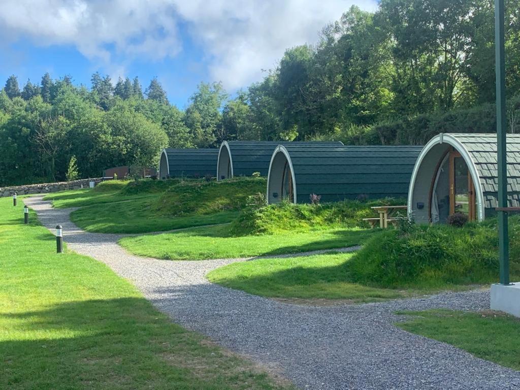 Comeragh Pods Kilmacthomas Стая снимка